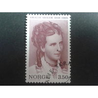 Норвегия 1996 писательница