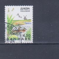 [1303] Дания 1999. Фауна.Водоплавающие птицы. Гашеная марка.