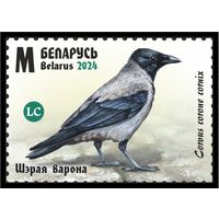 2024г Беларусь MNH  "Птицы Беларуси. Врановые"