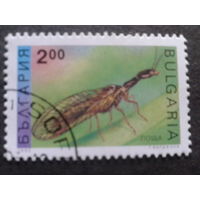 Болгария 1993 насекомое