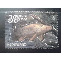 Нидерланды 2005 Кистеперая рыба, марка из блока