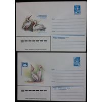 Два конверта СССР  Пеликаны