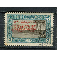 Османская Империя - 1919 - Надпечатка на 5Pia - [Mi.648A] - 1 марка. Гашеная.  (LOT Di36)
