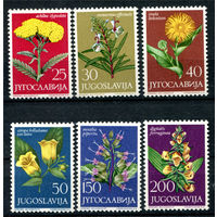 Югославия - 1965г. - Цветы - полная серия, MNH с отпечатками на клее [Mi 1118-1123] - 6 марок