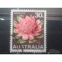 Австралия 1968 Телопея