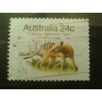 Австралия 1981 сумчатый волк