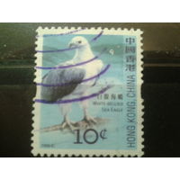 Гонконг 2006 стандарт, птица