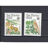 Фауна. Птицы. Сан-Марино. 1986. 2 марки. Michel N 1339-1340 (25.0 е).