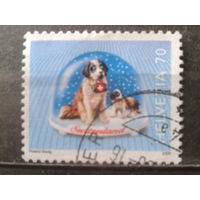 Швейцария 2000 Стандарт, собаки, сувенир из Швейцарии