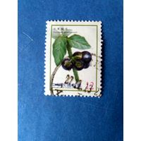 Марки Китай (Тайвань). Solanum americanum (американский черный паслён).  2012 год