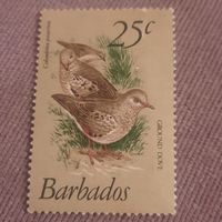 Барбадос 1979. Фауна. Columbina Passerina