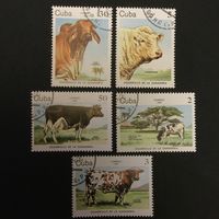 Коровы. Куба,1984, серия 5 марок