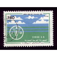 1 марка 1981 год Сирия ФАО 1525