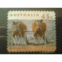 Австралия 1994 Два кенгуру