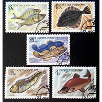 СССР 1983 г. Промысловые рыбы. Морская фауна, полная серия из 5 марок #0019-Ф2P4