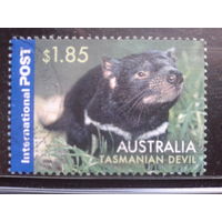 Австралия 2006 Тасманийский дьявол Михель-2,5 евро гаш