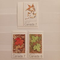 Канада. Кленовые листья и время года