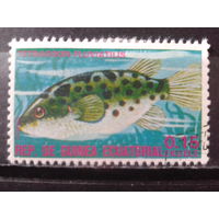 Экваториальная Гвинея 1975 Рыба