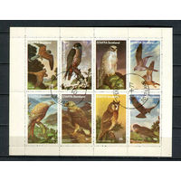 Стаффа (Шотландия) - 1977 - Птицы. Совы - 1 блок. Гашеный.  (Лот 73EB)-T7P5
