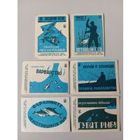 Спичечные этикетки ф.Маяк. Рыбоохрана. 1966 год