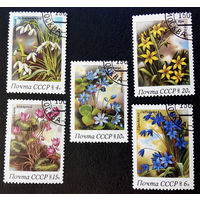 СССР 1983 г. Весенние цветы. Флора, полная серия из 5 марок #0020-Ф2P4