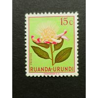 Руанда 1953. Флора