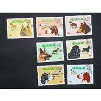 Никарагуа 1982 г. Породы собак. Две полные серии, 7 марок #0098-Ф2P19