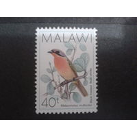 Малави 1988 Птица