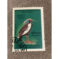 Мадагаскар 1990. Птицы. Lophotibis cristata. Марка из серии
