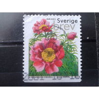 Швеция 2001 Цветы
