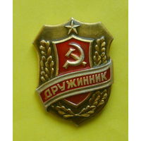 Дружинник. Я-76.