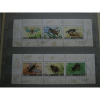 Марки - Корея, фауна, насекомые, жуки, 2 блока