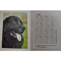 Карманный календарик. Собака.1992 год