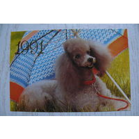 Календарик, 1991, Собаки.