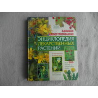 Ильина Т. А. Большая иллюстрированная энциклопедия лекарственных растений. Москва. Эксмо. 2008 г. Первое издание.