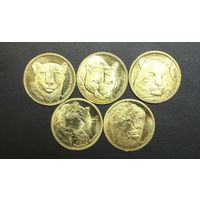 Сомалиленд - набор 5 монет - 5 шиллингов 2016 - "Кошки" UNC