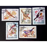 СССР 1981 г. Певчие птицы. Фауна, полная серия из 5 марок #0021-Ф2P4