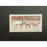 Швеция 1977. Готландские пони