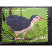 Сингапур, 2011. Птица