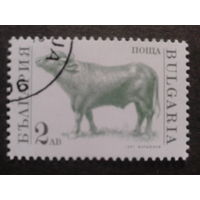 Болгария 1991 бык