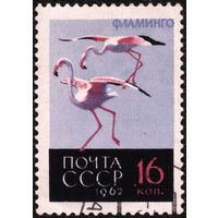 Гаш. СССР 1962. Птицы. Фламинго. (#2794) Марка из серии