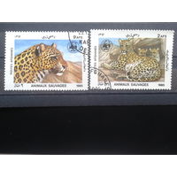 Афганистан 1986 Леопарды
