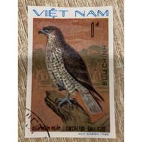 Вьетнам 1982. Хищные птицы. Circateus Gallicus. Марка из серии