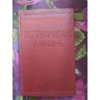 Нікалай Нікіцін, Паўночная Аўрора, Мінск 1953