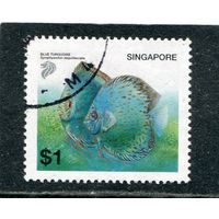 Сингапур. Морская фауна