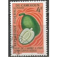 Камерун. Плоды хлебного дерева. 1967г. Mi#509.