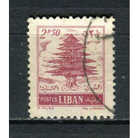 Ливан - 1957 - Дерево 2,50Pia - [Mi.579] - 1 марка. Гашеная.  (LOT Do44)