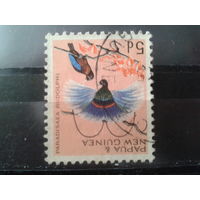 Папуа Новая Гвинея, 1964. Голубая райская птица