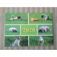 Карманный календарик. Собаки. 2020 год