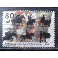Нидерланды 1994 Всемирные конные игры в Гааге